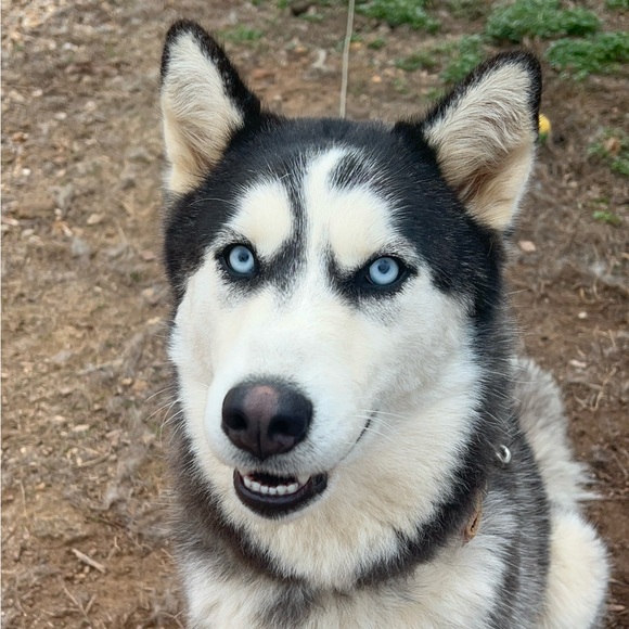 💁🏻♀️ HI!! 👸🏻 - Picture 11 of 16